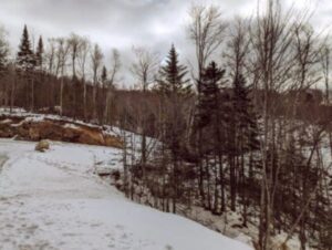 Foret à l'entrée du chalet